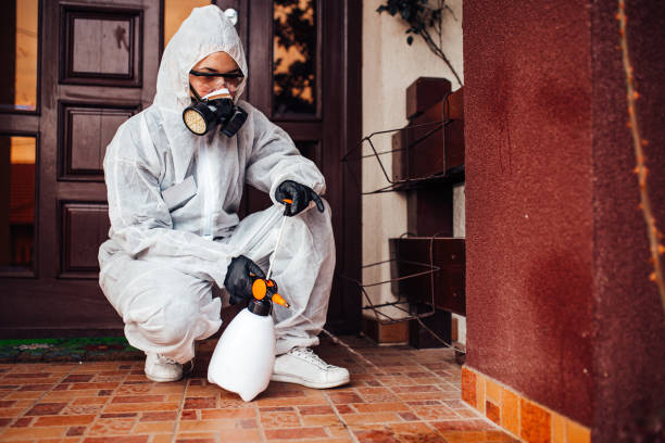 Attic and Crawl Space Rodent Treatment in Grenada